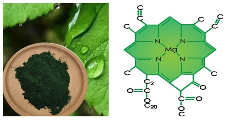 Sodium Copper Chlorophyllin Powder1