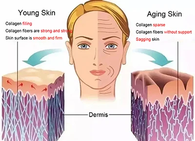 phenethyl resorcinol powder Anti-Aging