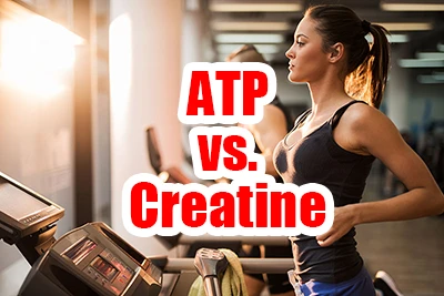 És millor l'ATP que la creatina?