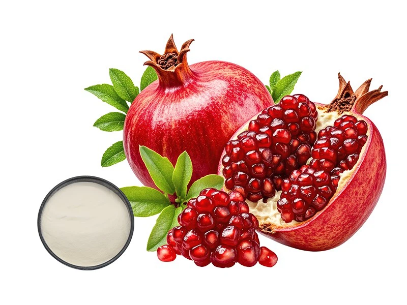 Urolithin A powder Urolithin A powder